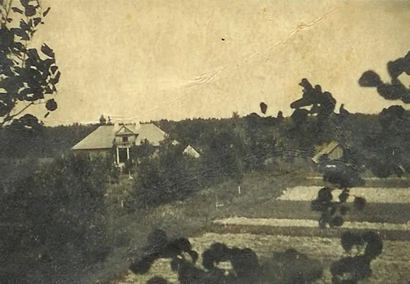 Majontak Jasiova Majontak Jasiova