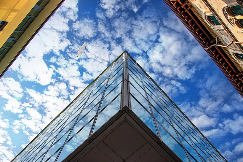 Птушкі і шыбы. Ілюстрацыйнае фота.jpg Птушкі і шыбы. Ілюстрацыйнае фота.jpg