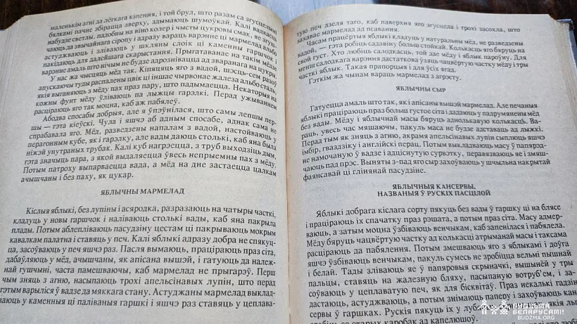 Recept jabłyčnaha syru ŭ «Litoŭskaj haspadyni»