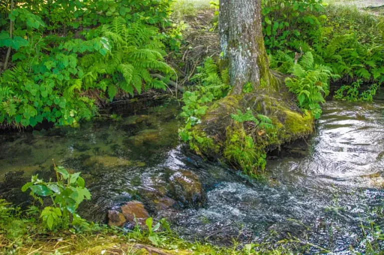 Krynica ŭ vioscy Huta (Biarezinski rajon)