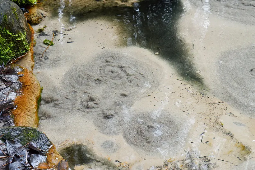 Krynica Kipiatak Krynica Kipiatak