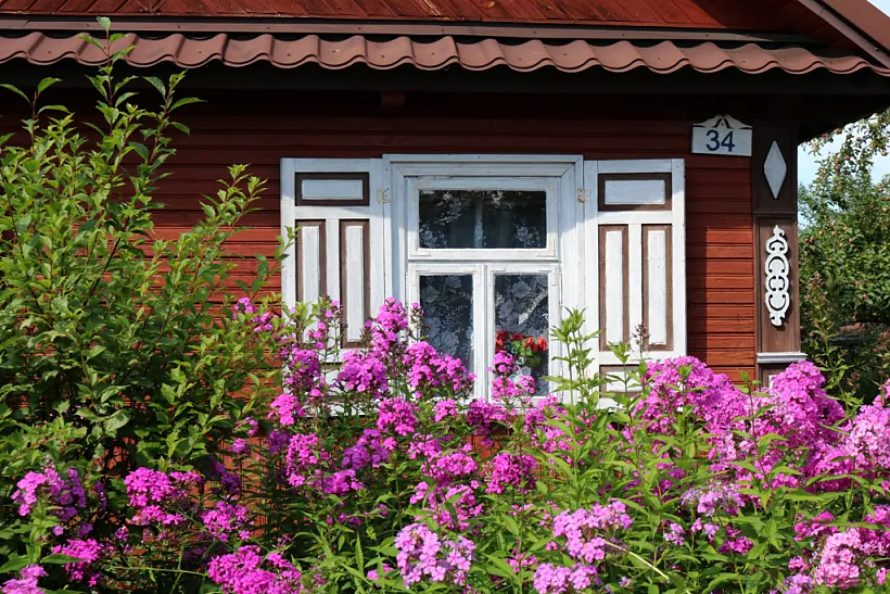 8_2022-08-13_01 Soce_0186.JPG