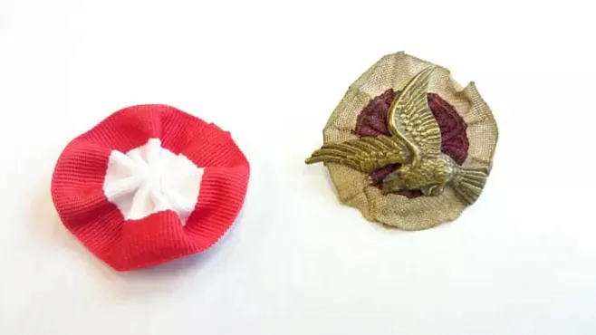 Varyjacyi simvala paŭstannia