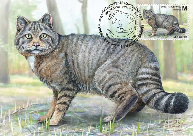 marki-02.jpg marki-02.jpg