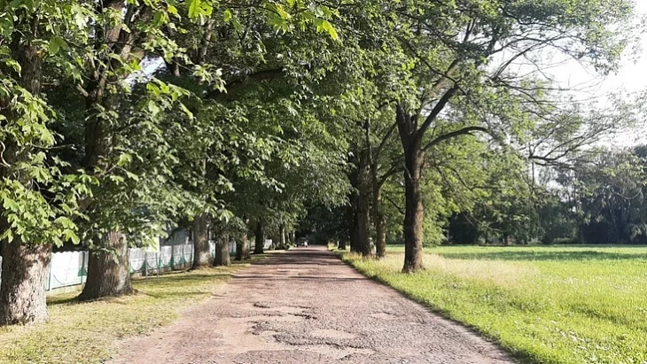 Park Malyja Siachnovičy