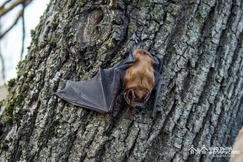 photo (97 of 98).jpg photo (97 of 98).jpg