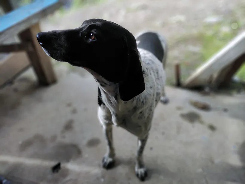 IMG_20211212_120852.jpg IMG_20211212_120852.jpg