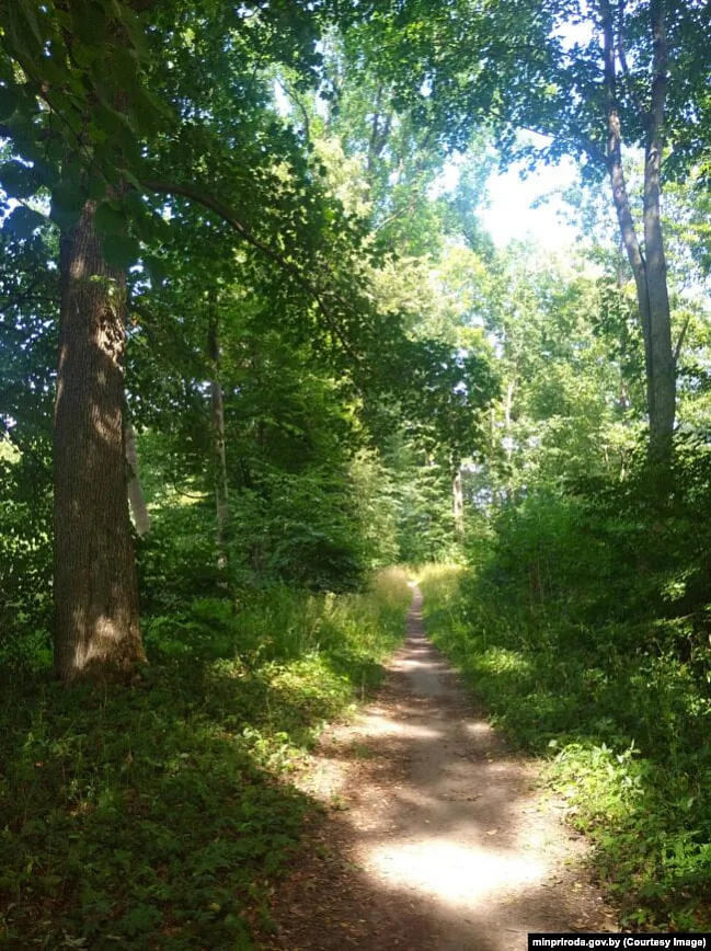 Park «Aciačyzna», Žabinkaŭski rajon Bieraściejskaj voblaści