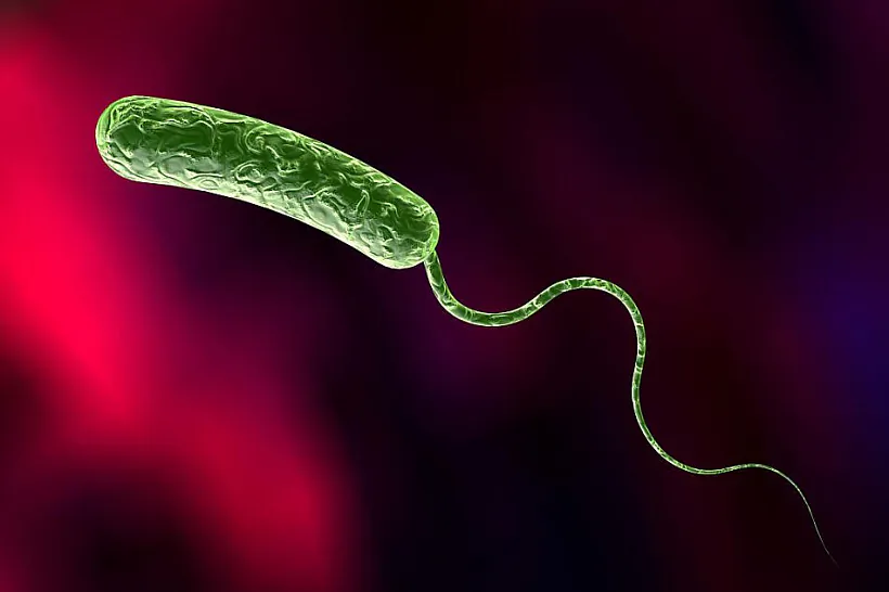 Uzbudžaĺnik chaliery