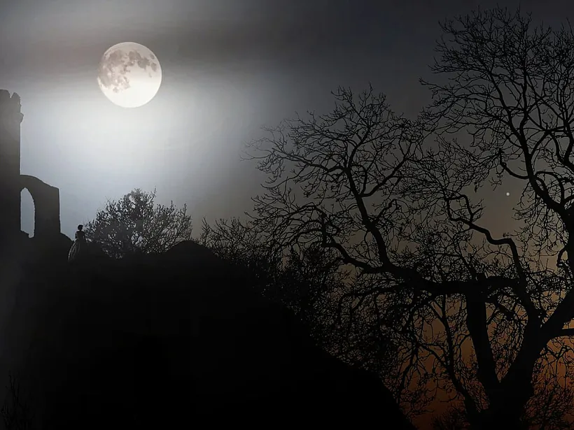 1_2_r-2.jpg 1_2_r-2.jpg