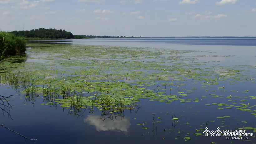 photo (15 of 15).jpg photo (15 of 15).jpg