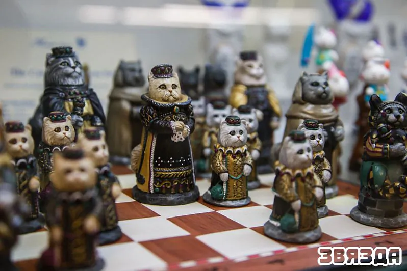 img_7444.jpeg img_7444.jpeg