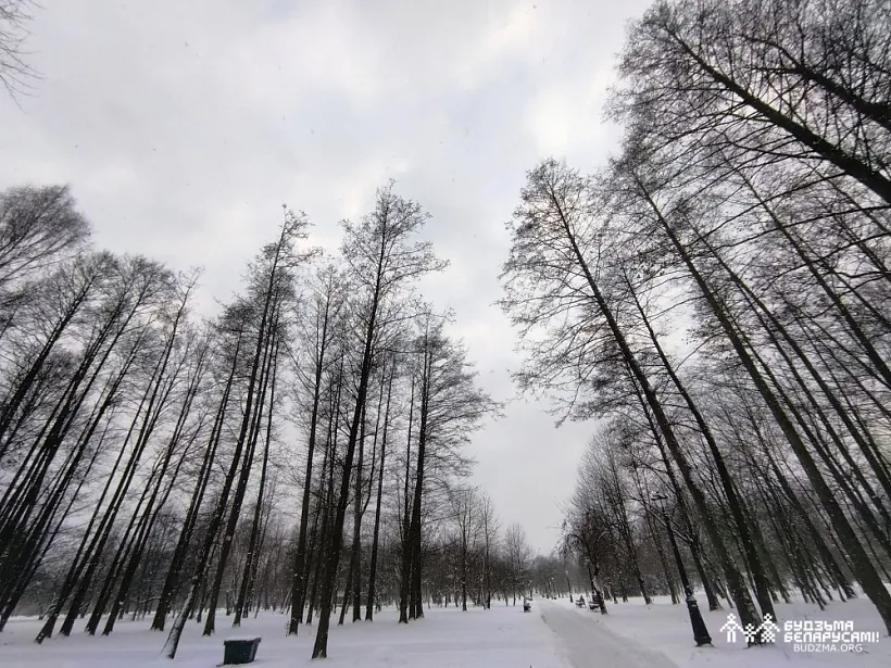 IMG_20221119_161620.jpg IMG_20221119_161620.jpg