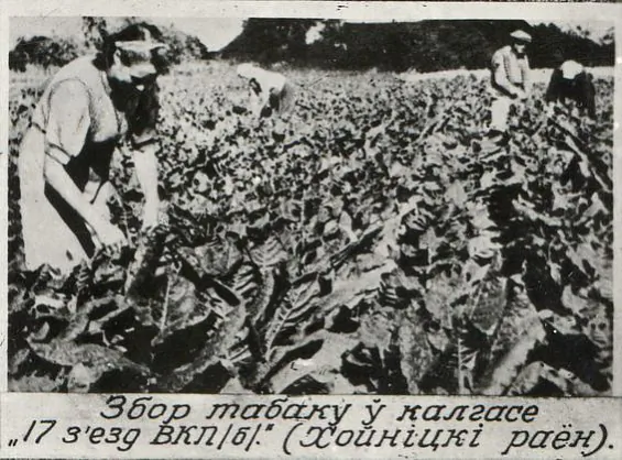 Fota z archivu BDAKFFD.