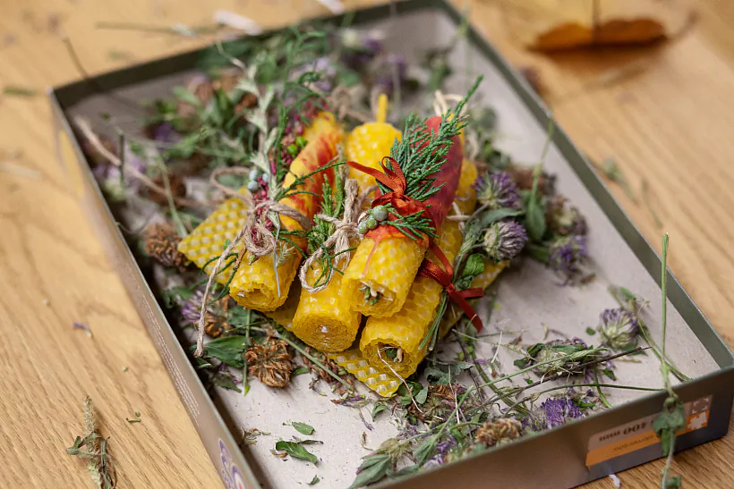 IMG_8762.jpg IMG_8762.jpg