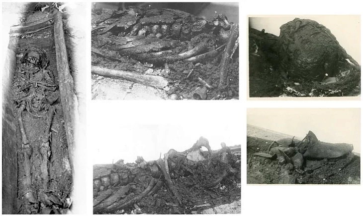 «Minskaja kniazioŭna»