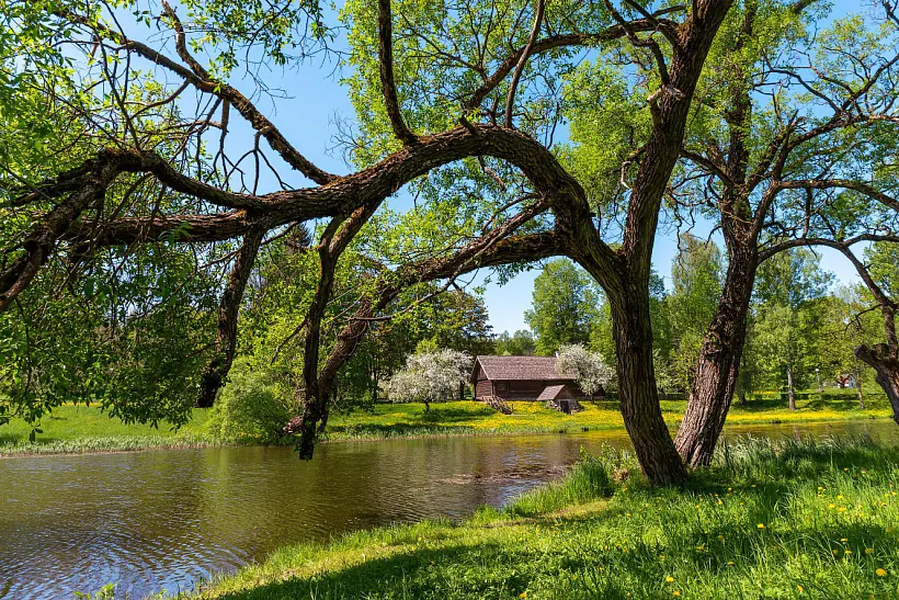 vyazynka.jpg vyazynka.jpg