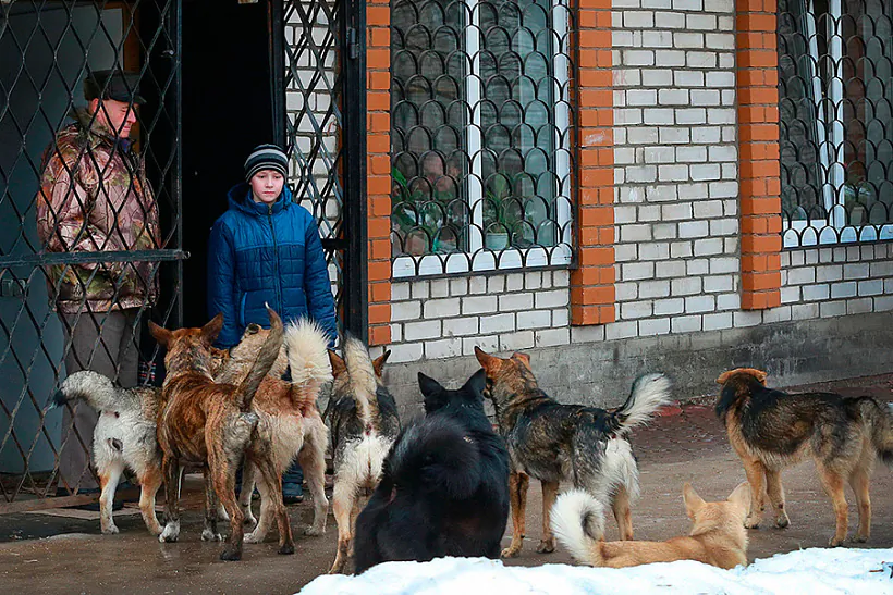 5128407faba7be7173b2e9758b180a95.jpg 5128407faba7be7173b2e9758b180a95.jpg