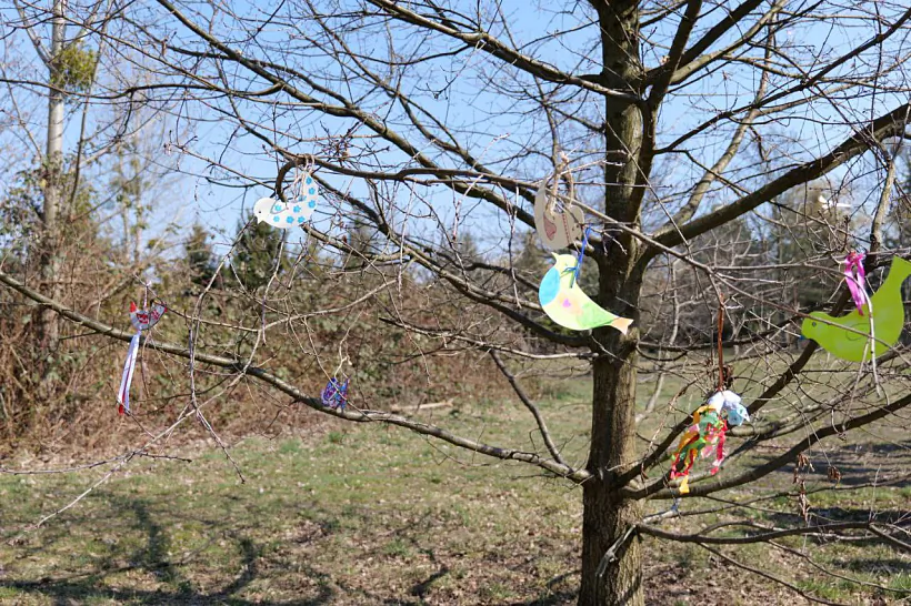 photo_2022-03-21_10-50-21.jpg photo_2022-03-21_10-50-21.jpg