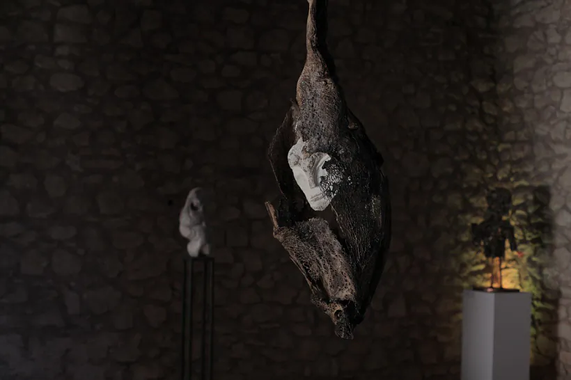 aliena-banet.jpg aliena-banet.jpg