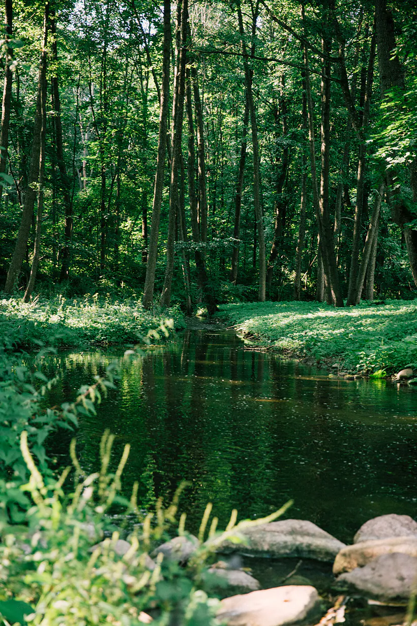 296A4215.jpg 296A4215.jpg