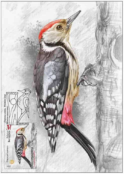 photo_2022-06-01_10-35-49.jpg photo_2022-06-01_10-35-49.jpg