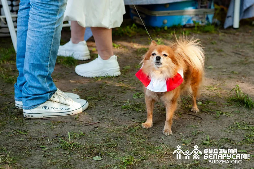 nocz-muziejau-vilnia-08.jpg nocz-muziejau-vilnia-08.jpg