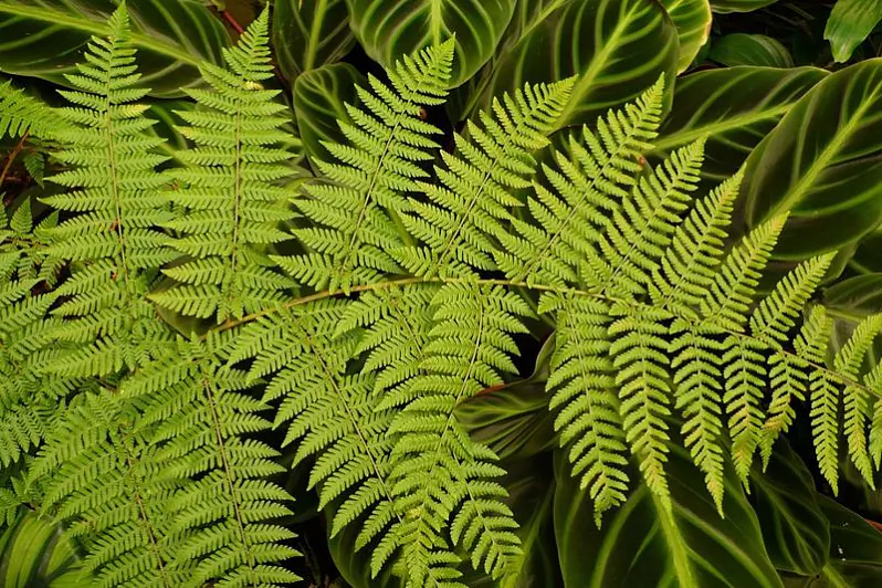 8ae8e965-e373-4d44-bfdd-56ed5f4a3094.jpg 8ae8e965-e373-4d44-bfdd-56ed5f4a3094.jpg