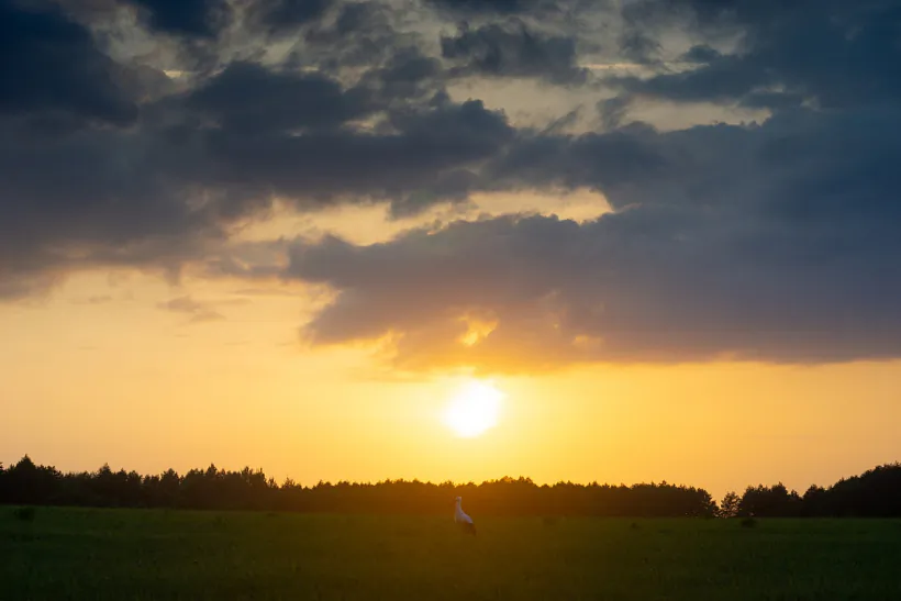 Ландшафты і людзі Сакольшчыны - Чорнай Русі (4).jpg Ландшафты і людзі Сакольшчыны - Чорнай Русі (4).jpg