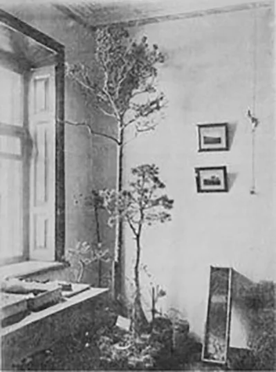 Uzor balotnaj chvoi ŭ muziei. Fota z časopisa «Balotaznaŭstva» za 1911 hod. Uzor balotnaj chvoi ŭ muziei. Fota z časopisa «Balotaznaŭstva» za 1911 hod.