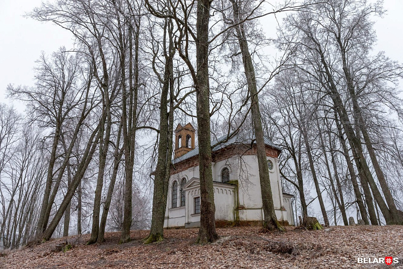 10.jpg 10.jpg