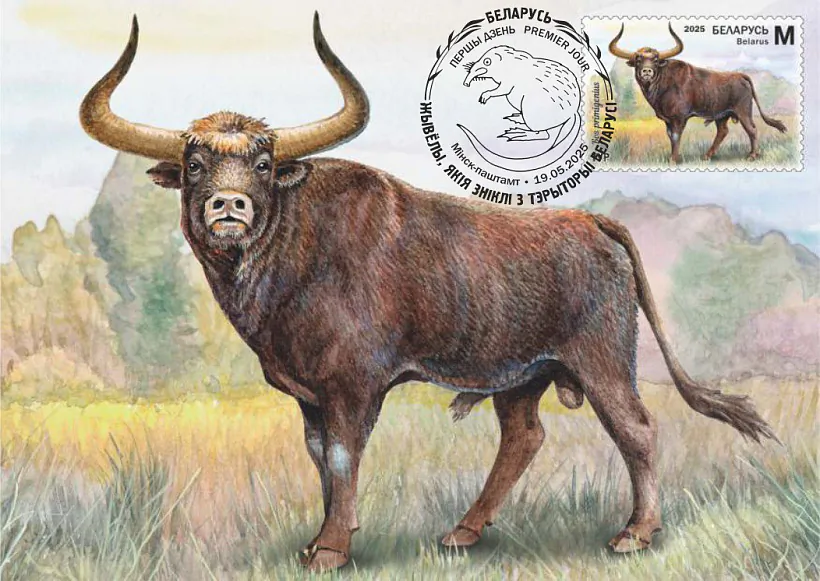 marki-03.jpg marki-03.jpg