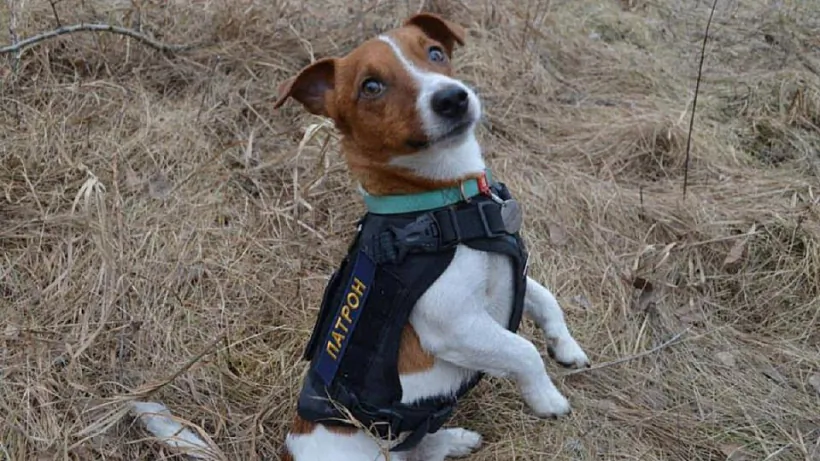 image_2022-06-10_11-48-33.png image_2022-06-10_11-48-33.png