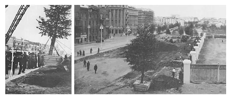 mal_22.png mal_22.png