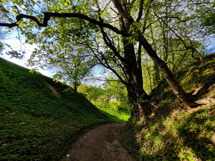 Mscislaŭ na haradziščy Mscislaŭ na haradziščy