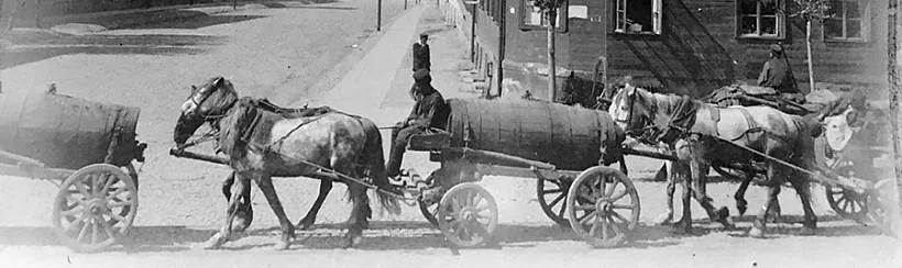 mal_4_asenizacyjny_aboz.jpg mal_4_asenizacyjny_aboz.jpg