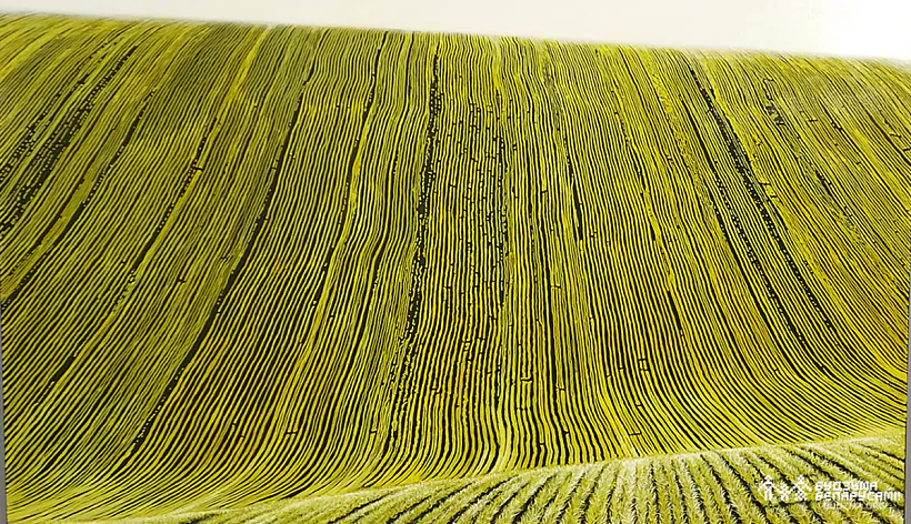 07Шчамялёў3.jpg 07Шчамялёў3.jpg