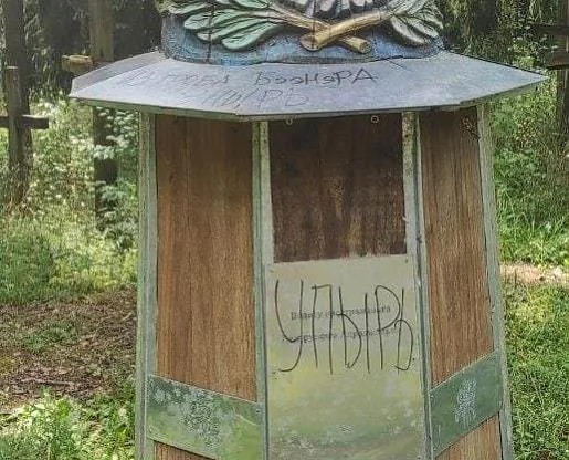 43.jpg
