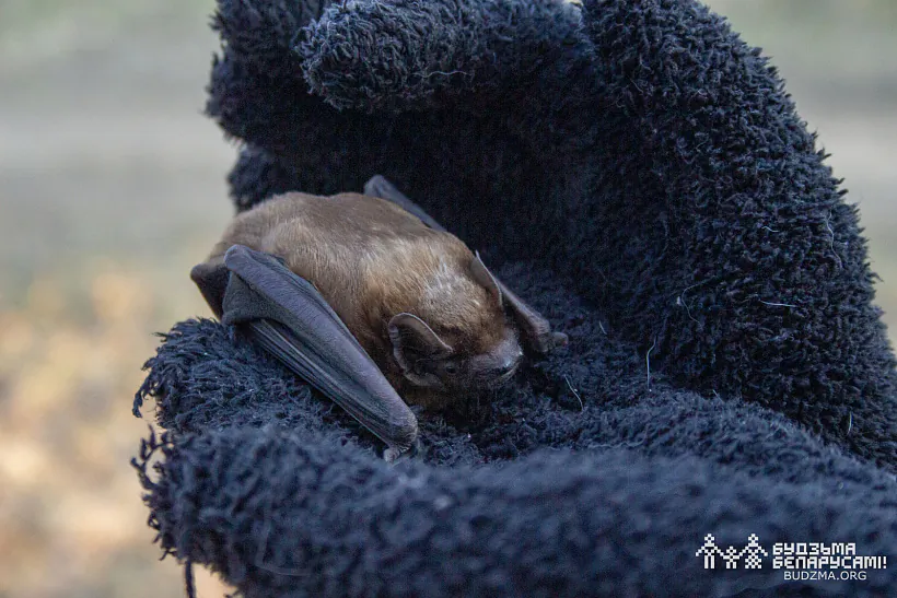 photo (21 of 98).jpg photo (21 of 98).jpg