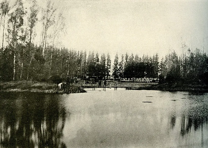 peujul8268hrnhz5z3y9oje4gftho6ln.jpg peujul8268hrnhz5z3y9oje4gftho6ln.jpg