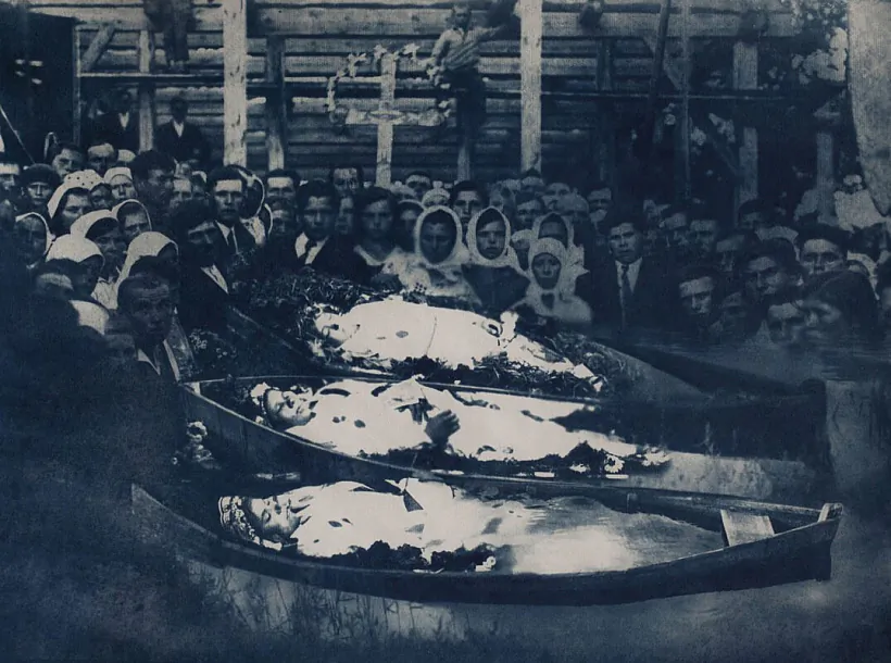 Prajekt «Maja raka» Prajekt «Maja raka»