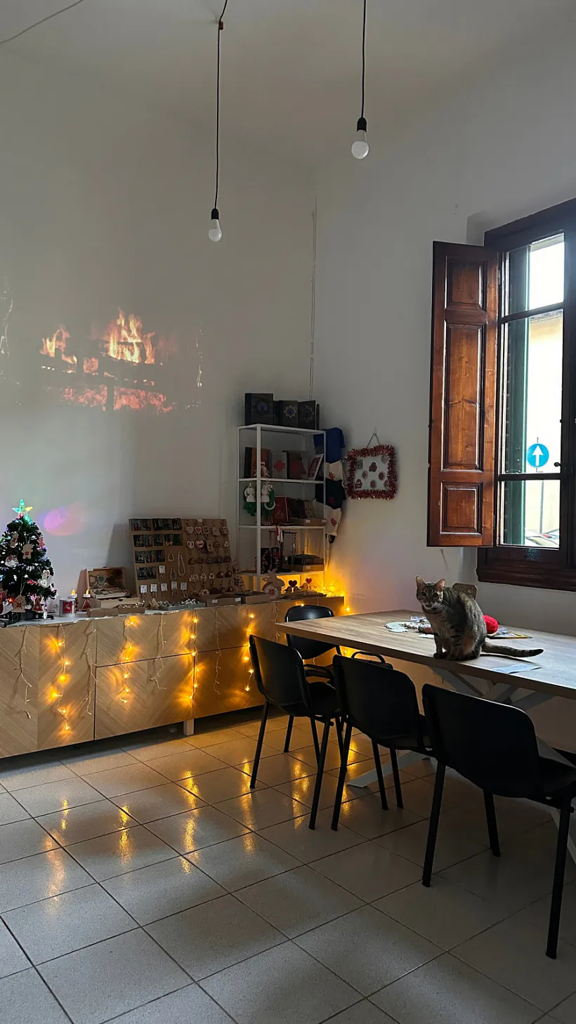 Centr demakratyčnaj supoĺnasci