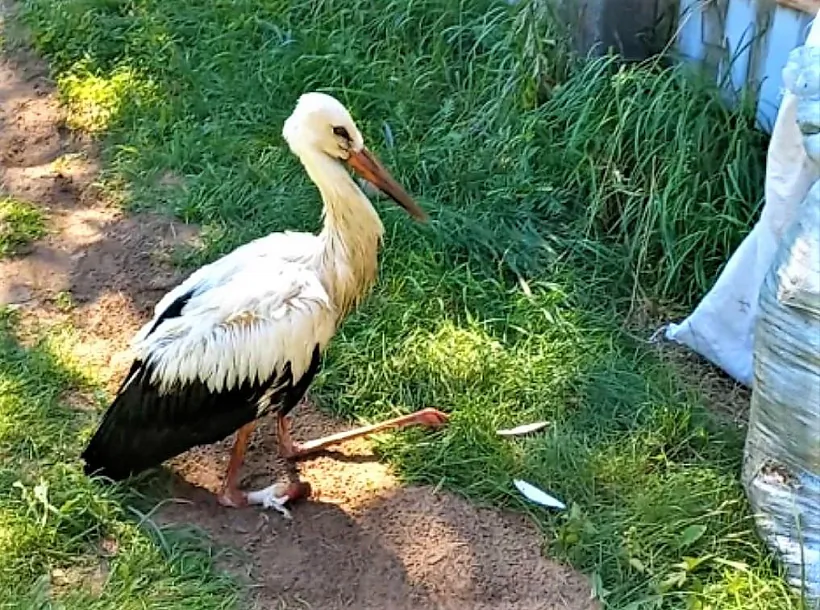 1a4c71.jpg 1a4c71.jpg