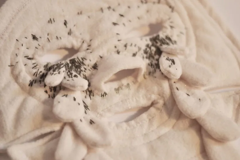 _dsc0344.jpg _dsc0344.jpg