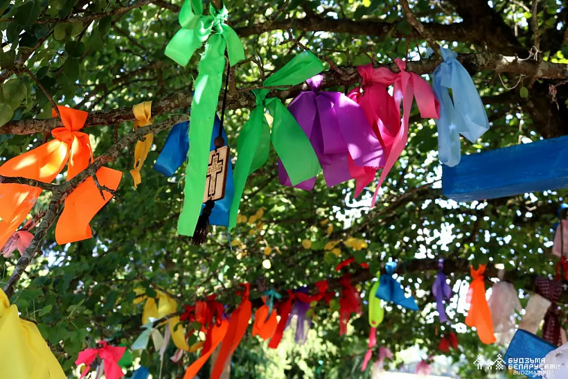 Stužki-achviary na halinkach sviatoj hruški