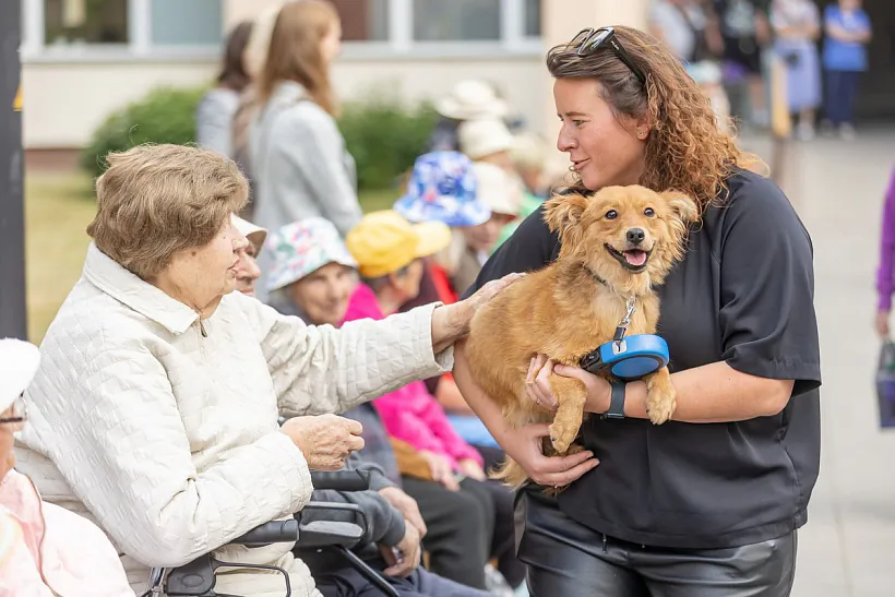 Prahrama «Sieńjor — sieńjoru»