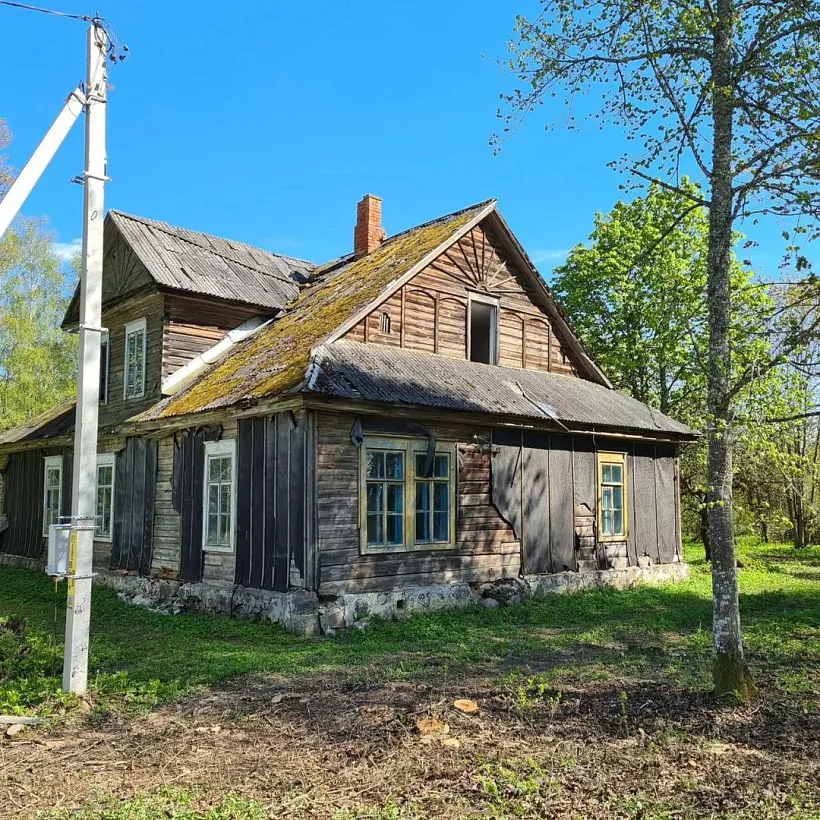 345574877_260290573348040_5441638077343889844_n.jpg 345574877_260290573348040_5441638077343889844_n.jpg