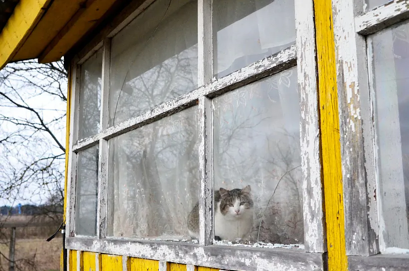 Vieranda chaty ŭ v. Zamošša Lieĺčyckaha r-na. 2020 h. Vieranda chaty ŭ v. Zamošša Lieĺčyckaha r-na. 2020 h.