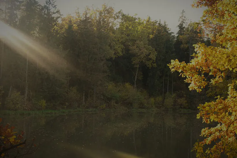 photo_2022-10-11_21-43-25 (2).jpg