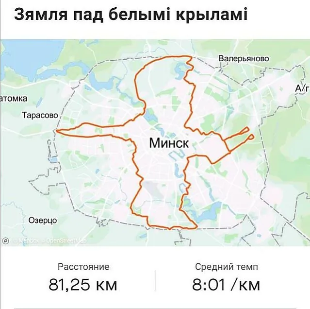 pic2.jpg